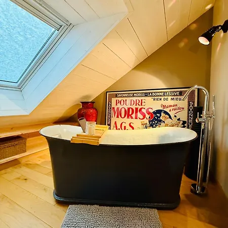 Dernier Etage Et Jardin Suspendu Face Au Sancy Mont-Dore