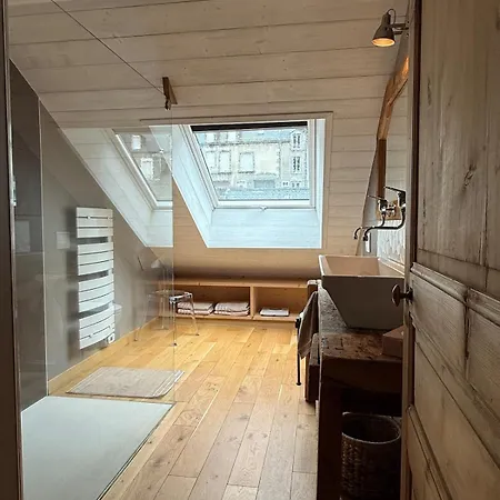 Apartament Dernier Etage Et Jardin Suspendu Face Au Sancy *