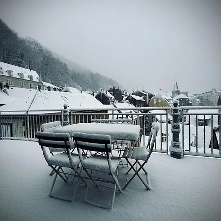 Apartament Dernier Etage Et Jardin Suspendu Face Au Sancy *