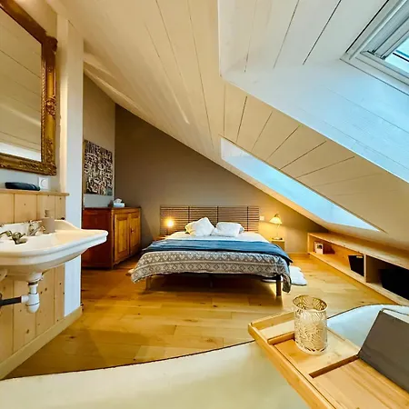 Dernier Etage Et Jardin Suspendu Face Au Sancy * Mont-Dore