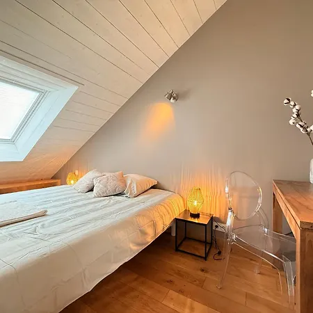 Dernier Etage Et Jardin Suspendu Face Au Sancy Mont-Dore