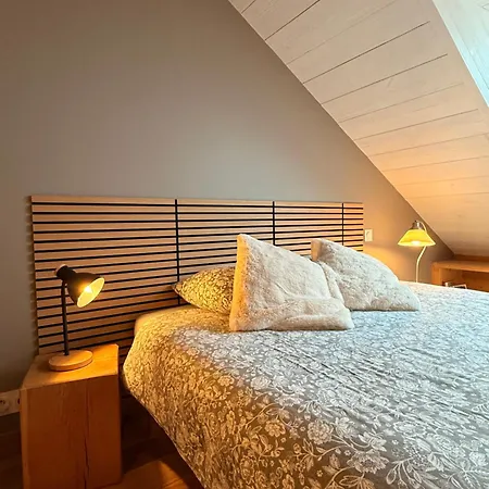 Dernier Etage Et Jardin Suspendu Face Au Sancy * Mont-Dore