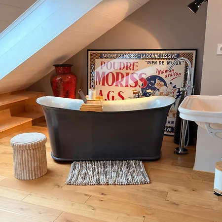 Apartament Dernier Etage Et Jardin Suspendu Face Au Sancy