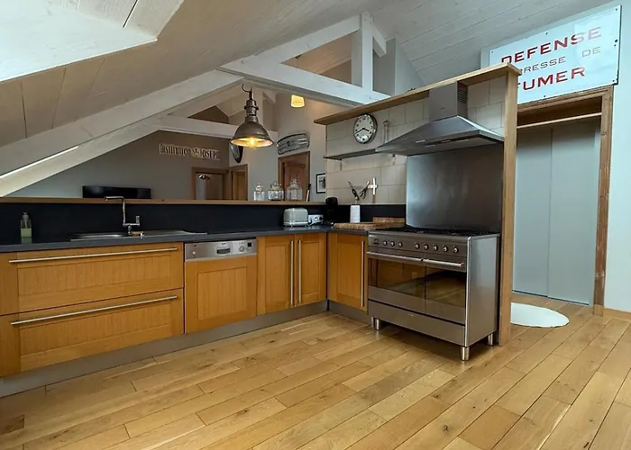 Dernier Etage Et Jardin Suspendu Face Au Sancy Apartament *