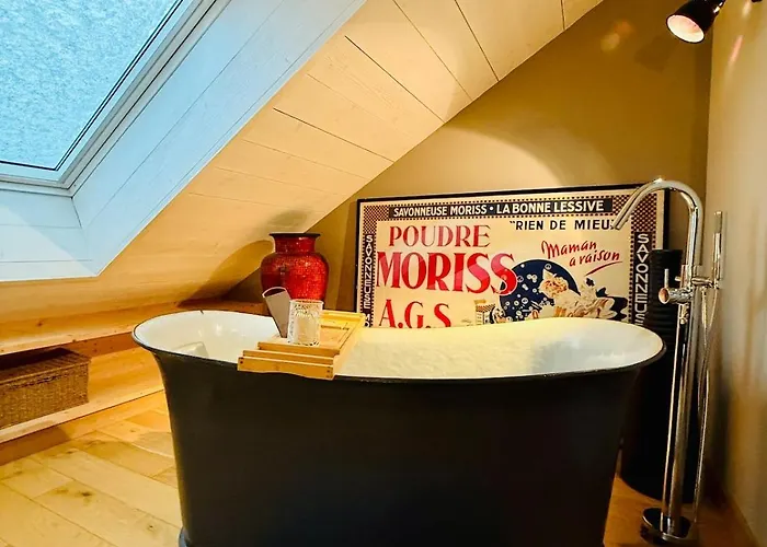 Dernier Etage Et Jardin Suspendu Face Au Sancy Apartament *