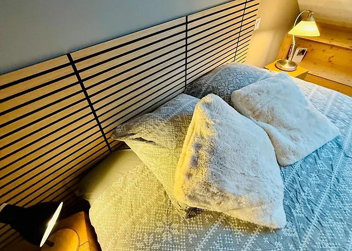 Dernier étage Et Jardin Suspendu Face Au Sancy *