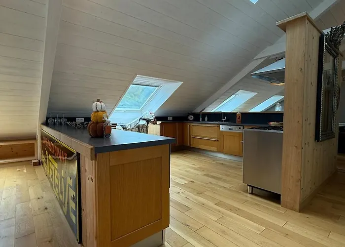 Dernier Etage Et Jardin Suspendu Face Au Sancy