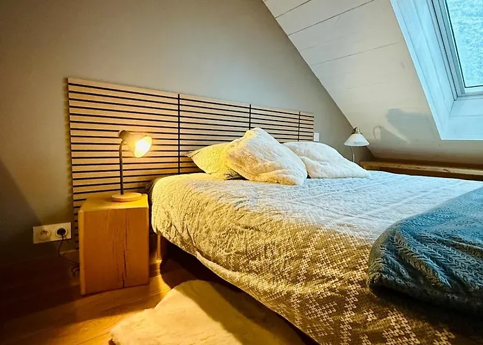 Dernier Etage Et Jardin Suspendu Face Au Sancy Mont-Dore