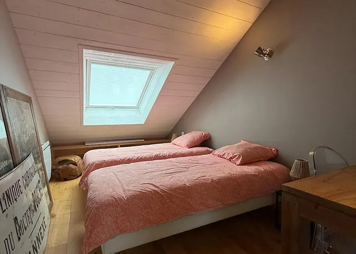 Apartamento Dernier étage Et Jardin Suspendu Face Au Sancy *