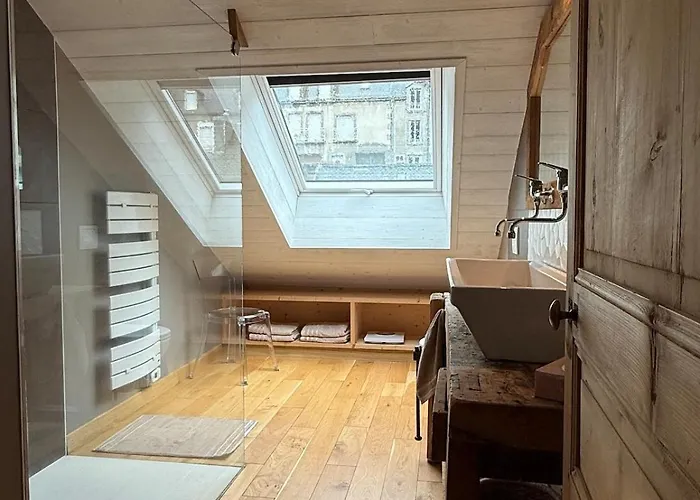 Apartamento Dernier étage Et Jardin Suspendu Face Au Sancy *