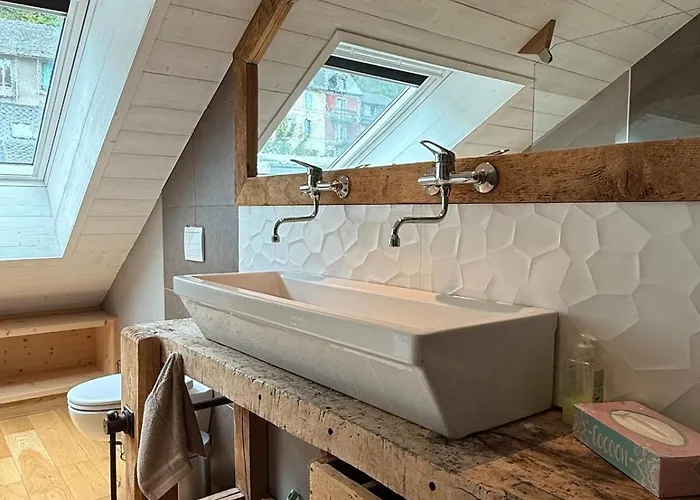 Dernier étage Et Jardin Suspendu Face Au Sancy * Mont-Dore