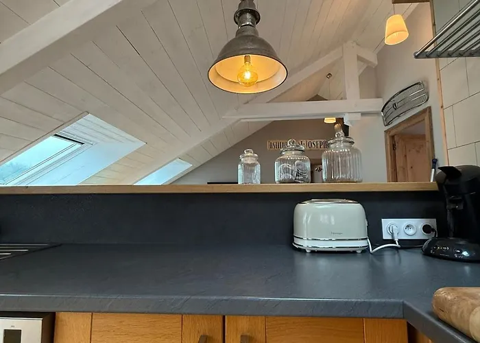 Apartament Dernier Etage Et Jardin Suspendu Face Au Sancy Mont-Dore