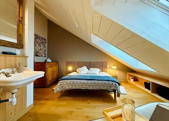 Dernier Etage Et Jardin Suspendu Face Au Sancy * Mont-Dore